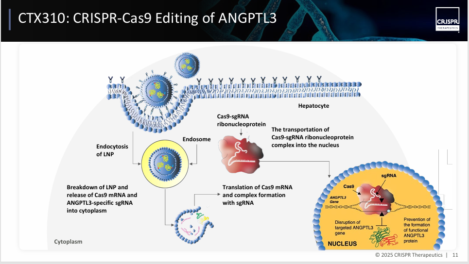 gene editing stocks - StockEarnings