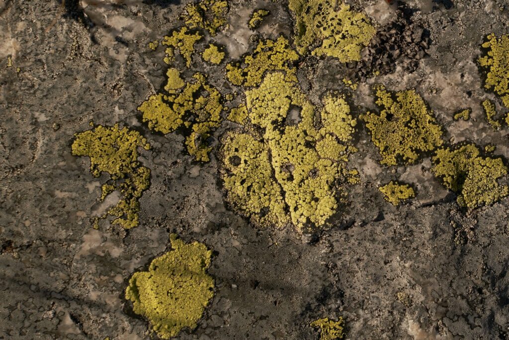 nuclear stocks - StockEarnings