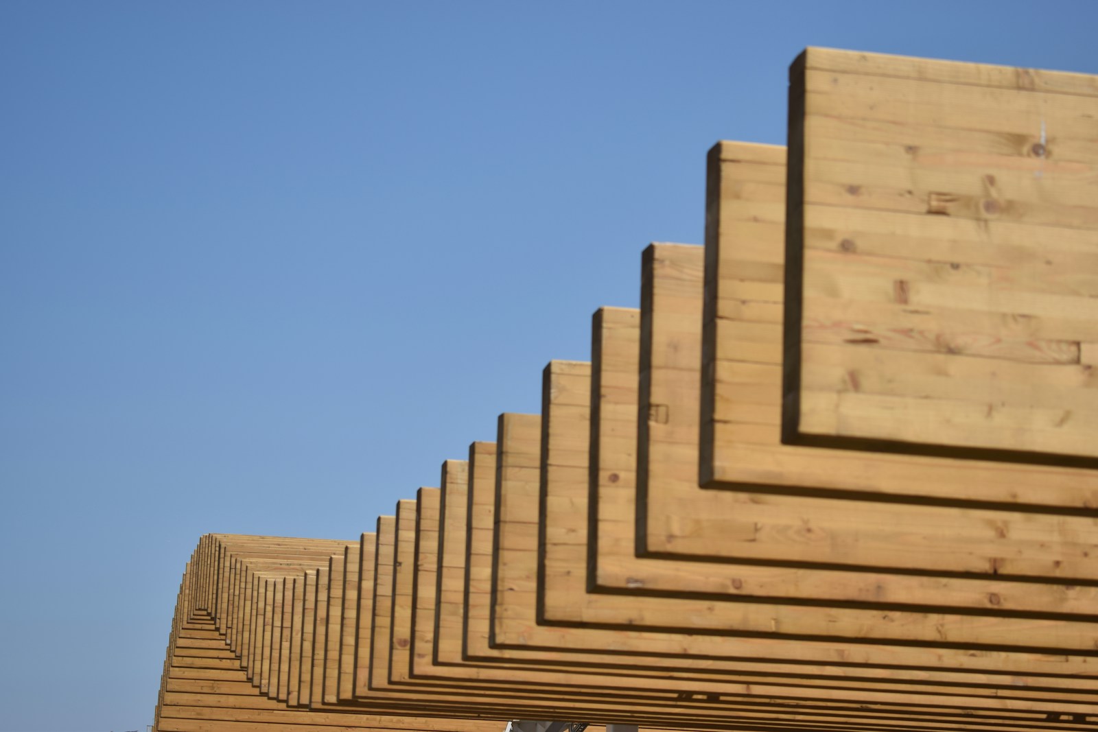 Weyerhaeuser REIT: A Bullish Bet on Housing and Lumber