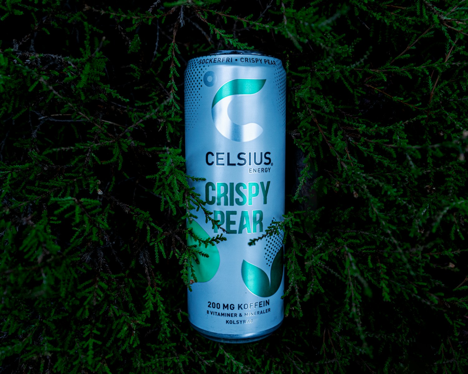 Celsius’ (CELH) Upcoming Earnings Report Could Surprise Onlookers