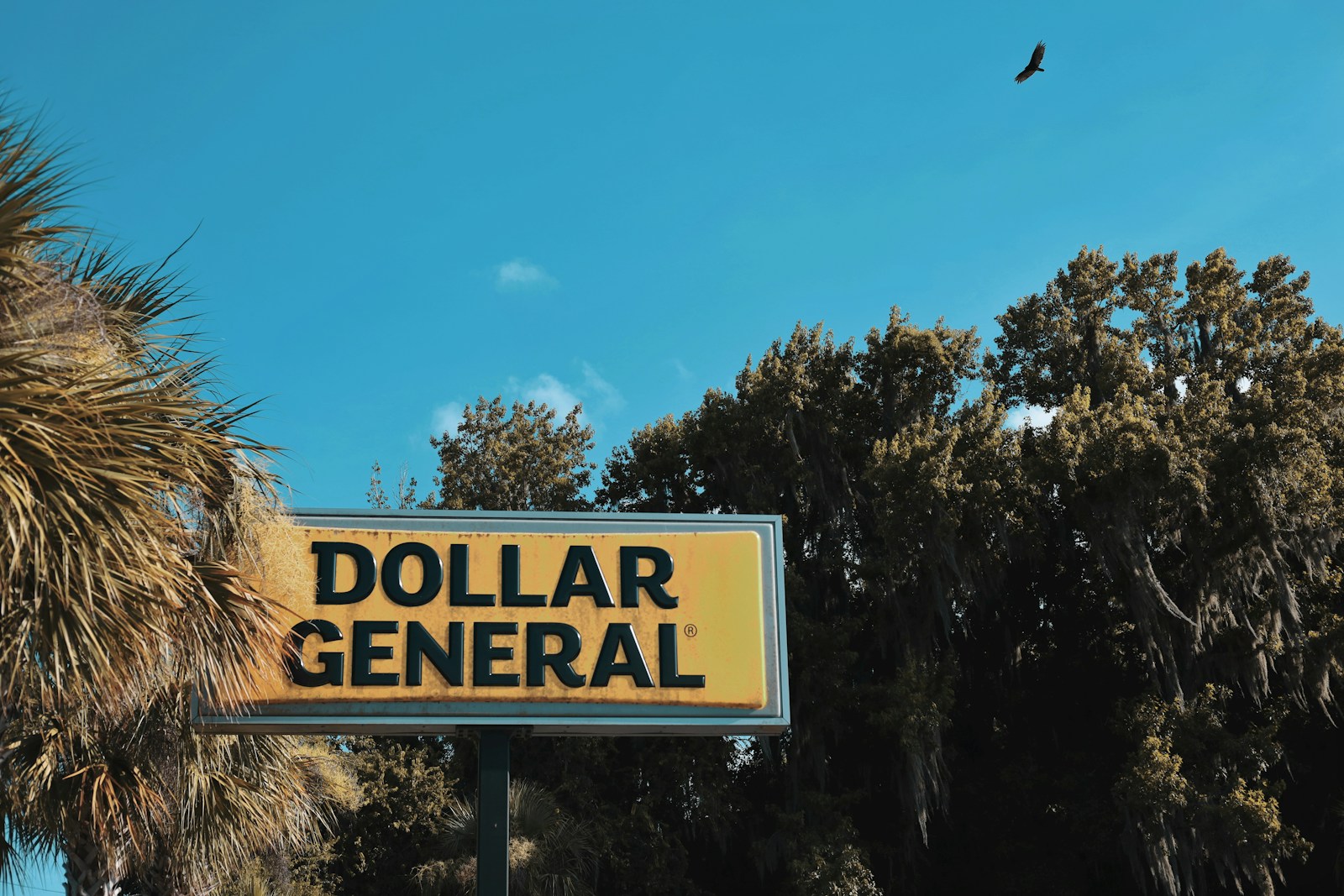 What Dollar General and Ollie’s Earnings Signal for Dollar Stores