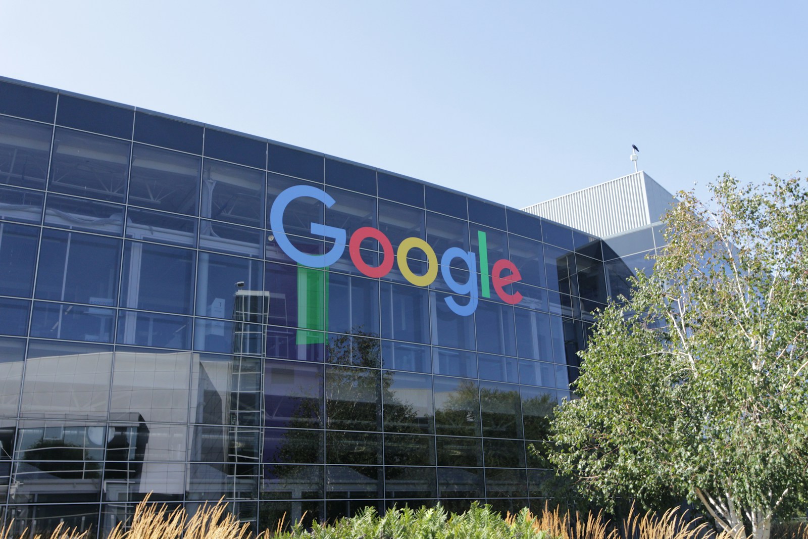Google AI: Why Wall Street Is Suddenly Nervous