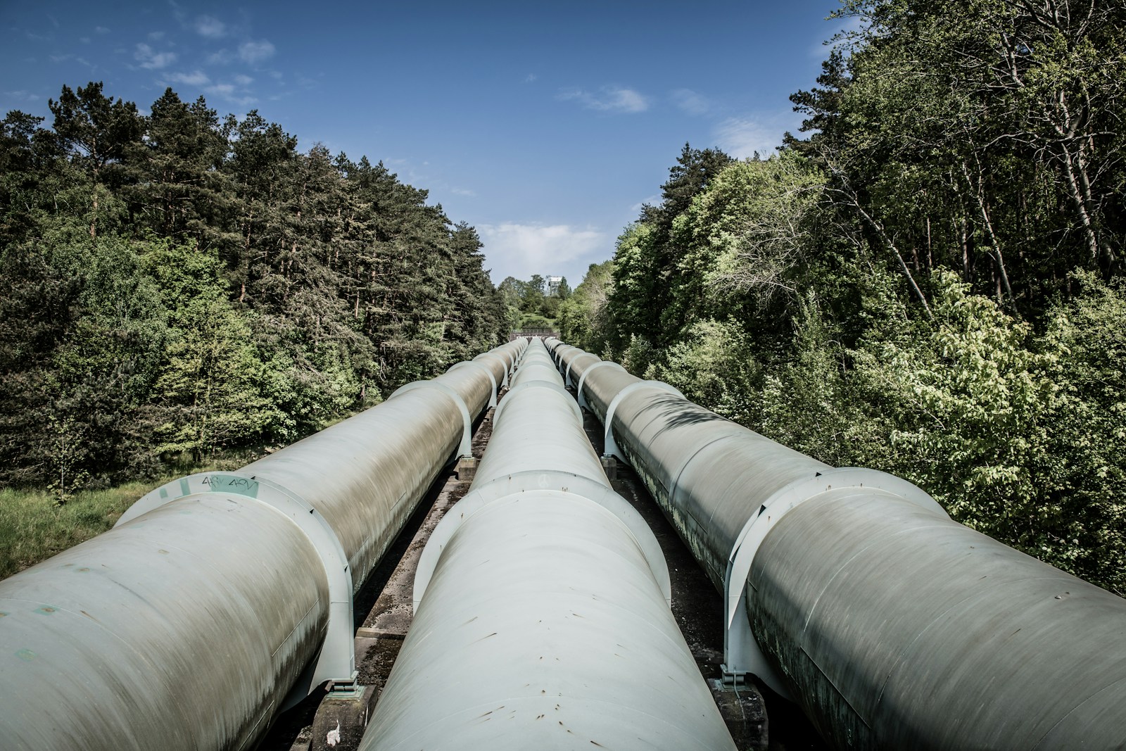 3 High-Yield Dividend Stocks to Buy Before Earnings