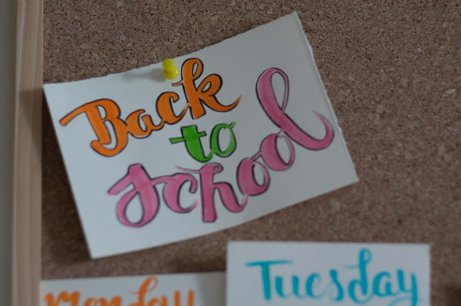 Back to School Shopping Season Already Started – Here’s How to Profit