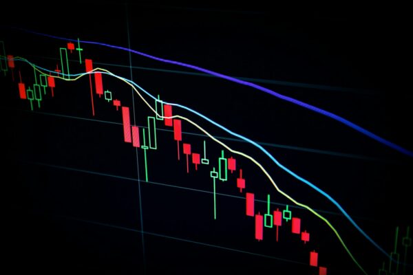 The Market Cut These 3 Stocks in Half. How Much Risk Are You Really Buying?