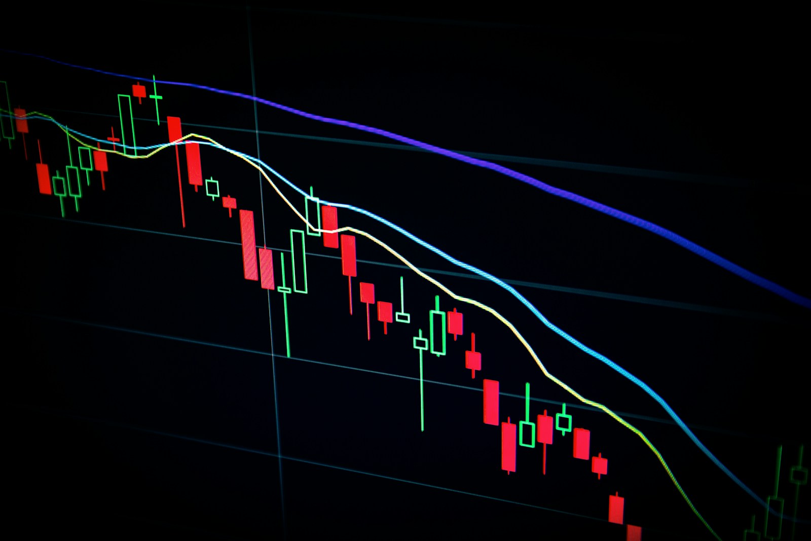 The Market Cut These 3 Stocks in Half. How Much Risk Are You Really Buying?