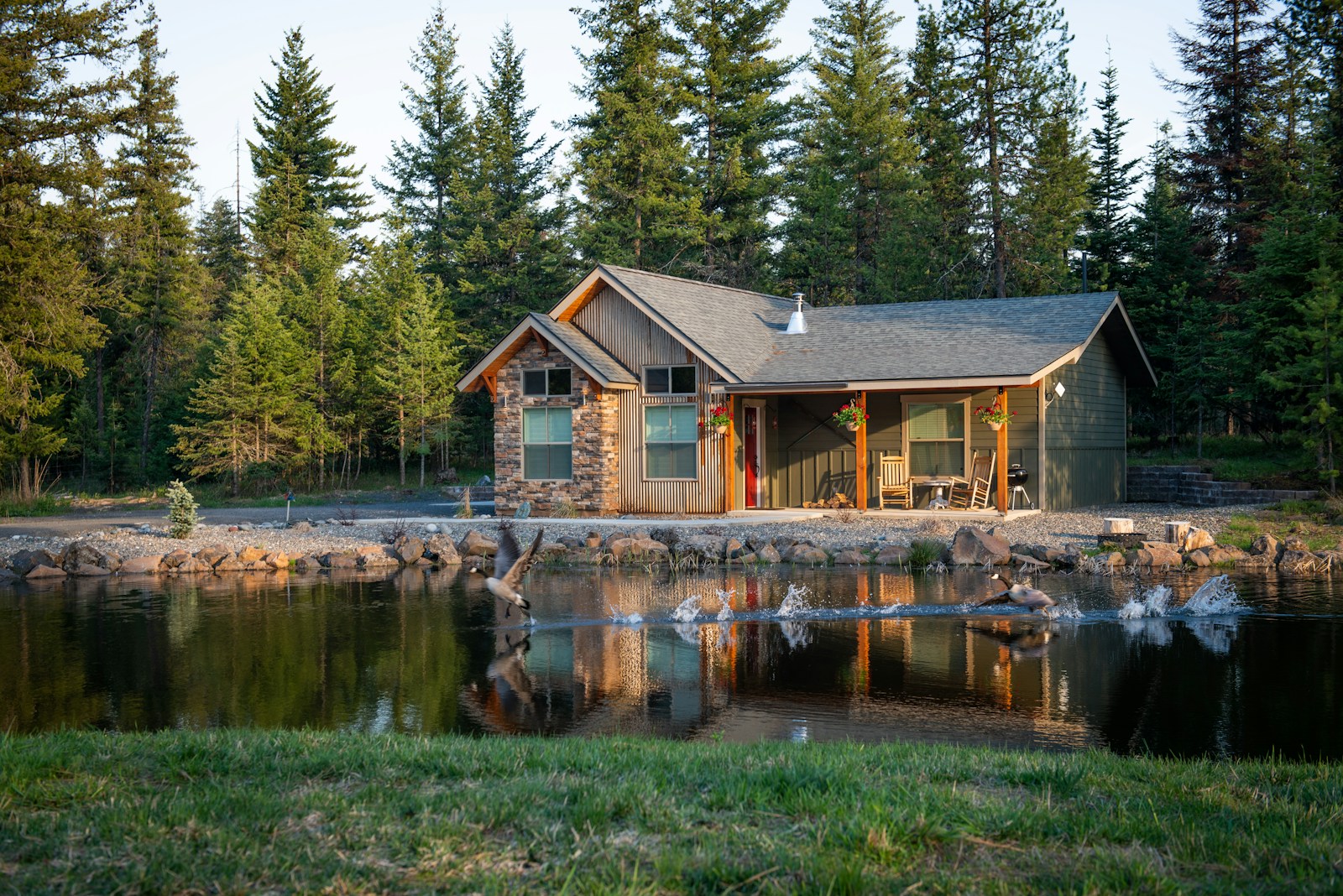 Airbnb Reports Strong Growth as Travel Gains Momentum