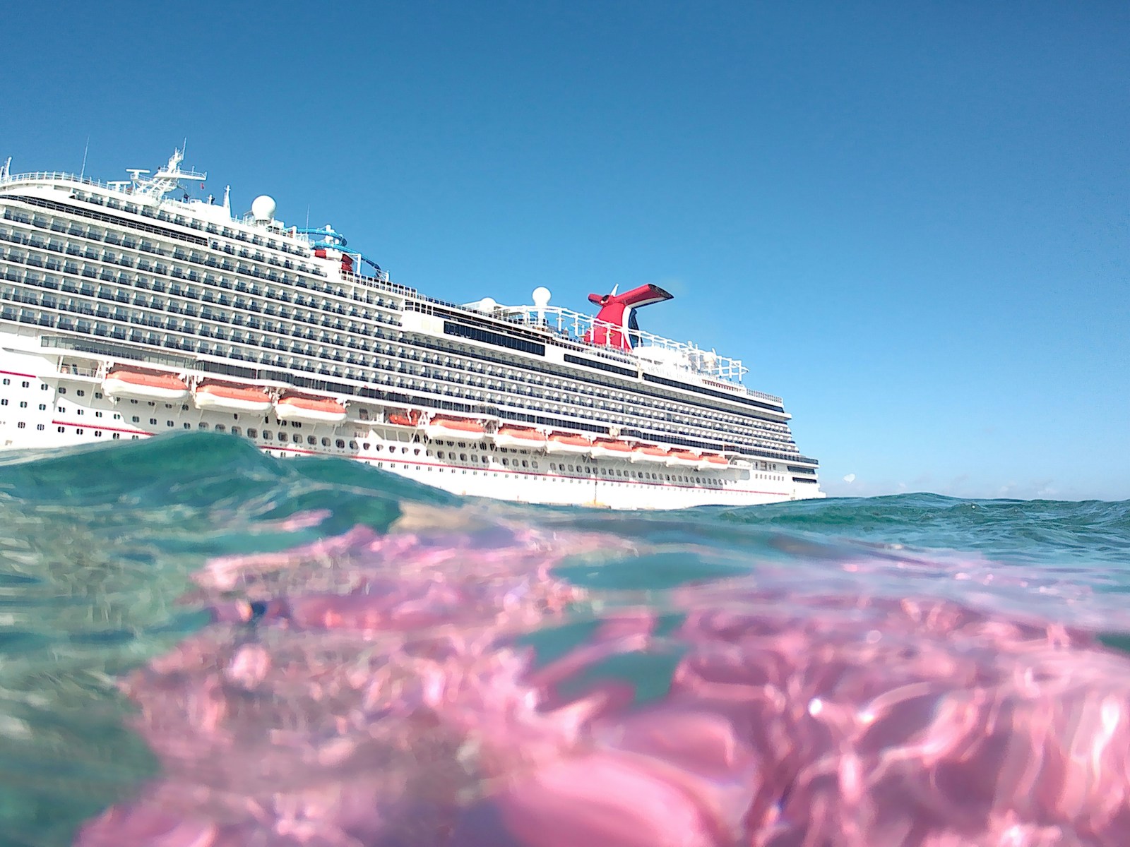Carnival Q3 Earnings: Strong Bookings Raise the Bullish Stakes