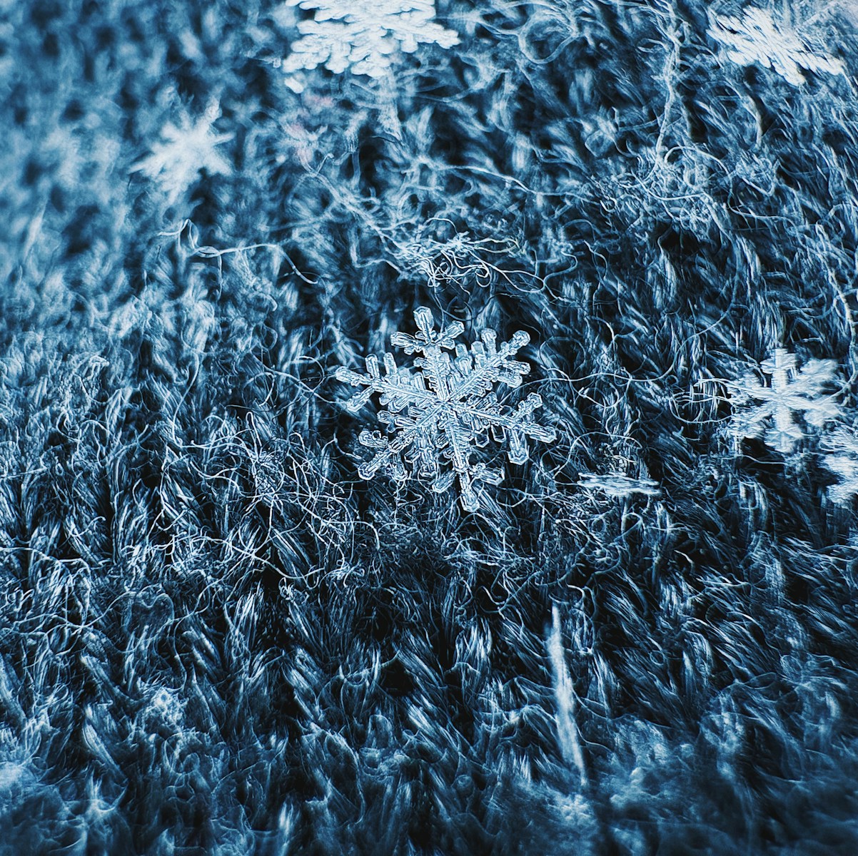 Snowflake (SNOW) Rockets After Strong Q2 Earnings and Raised Price Targets