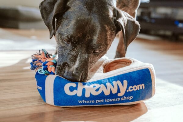 Chewy Heads into Q1 2026 Earnings with Wall Street Betting on a Turnaround